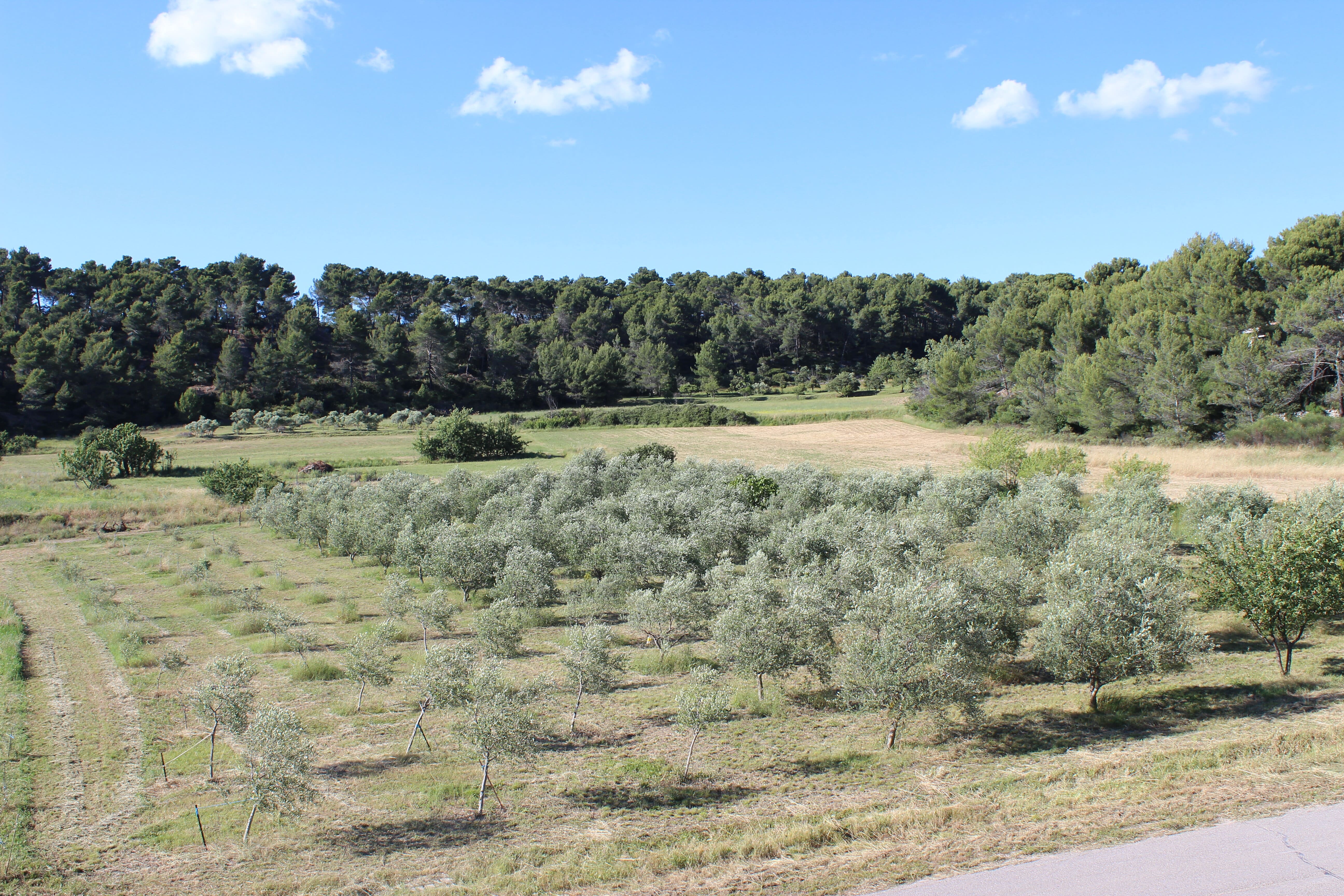 Photo vue exterieure