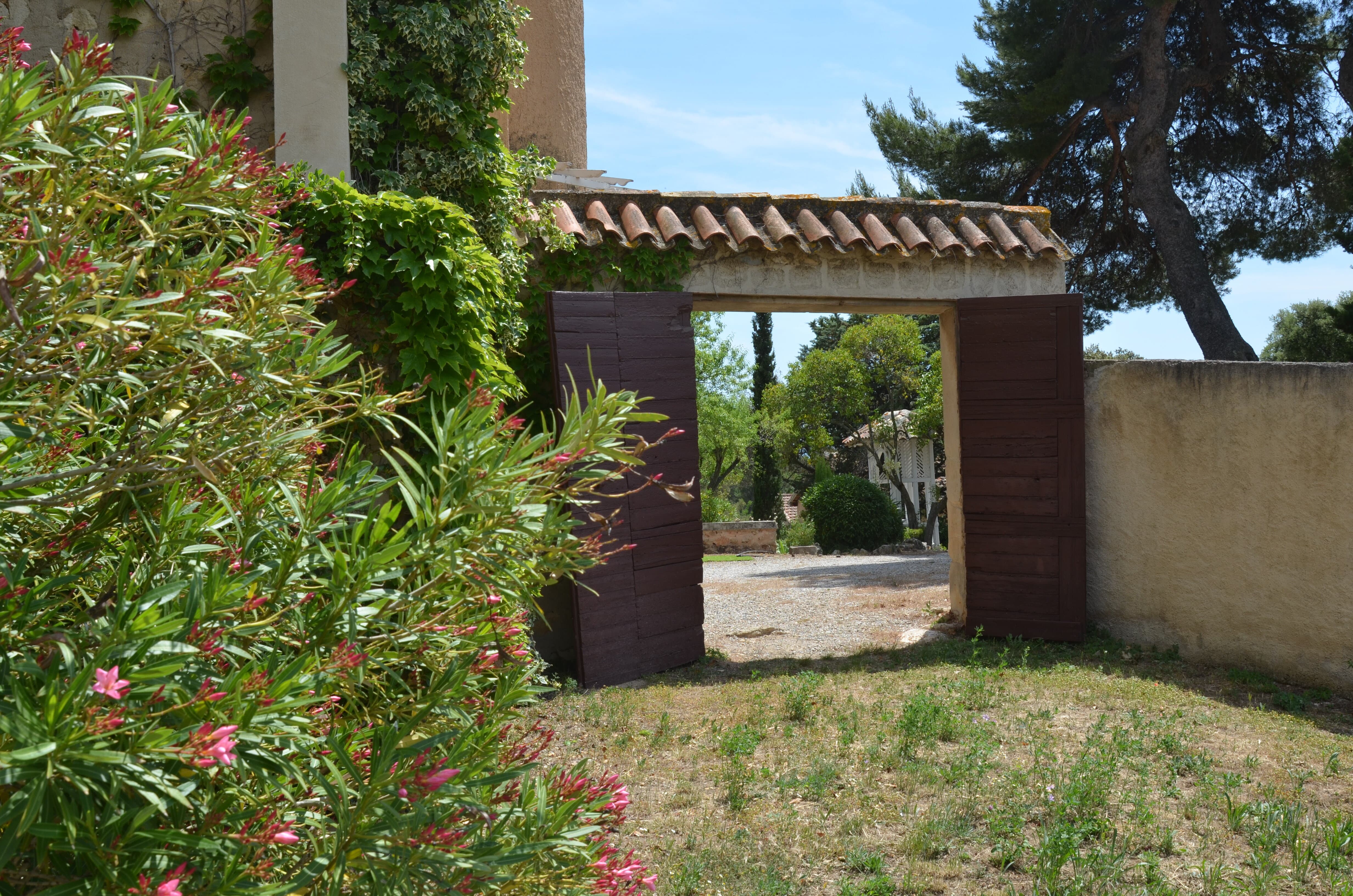 Photo jardin le parc