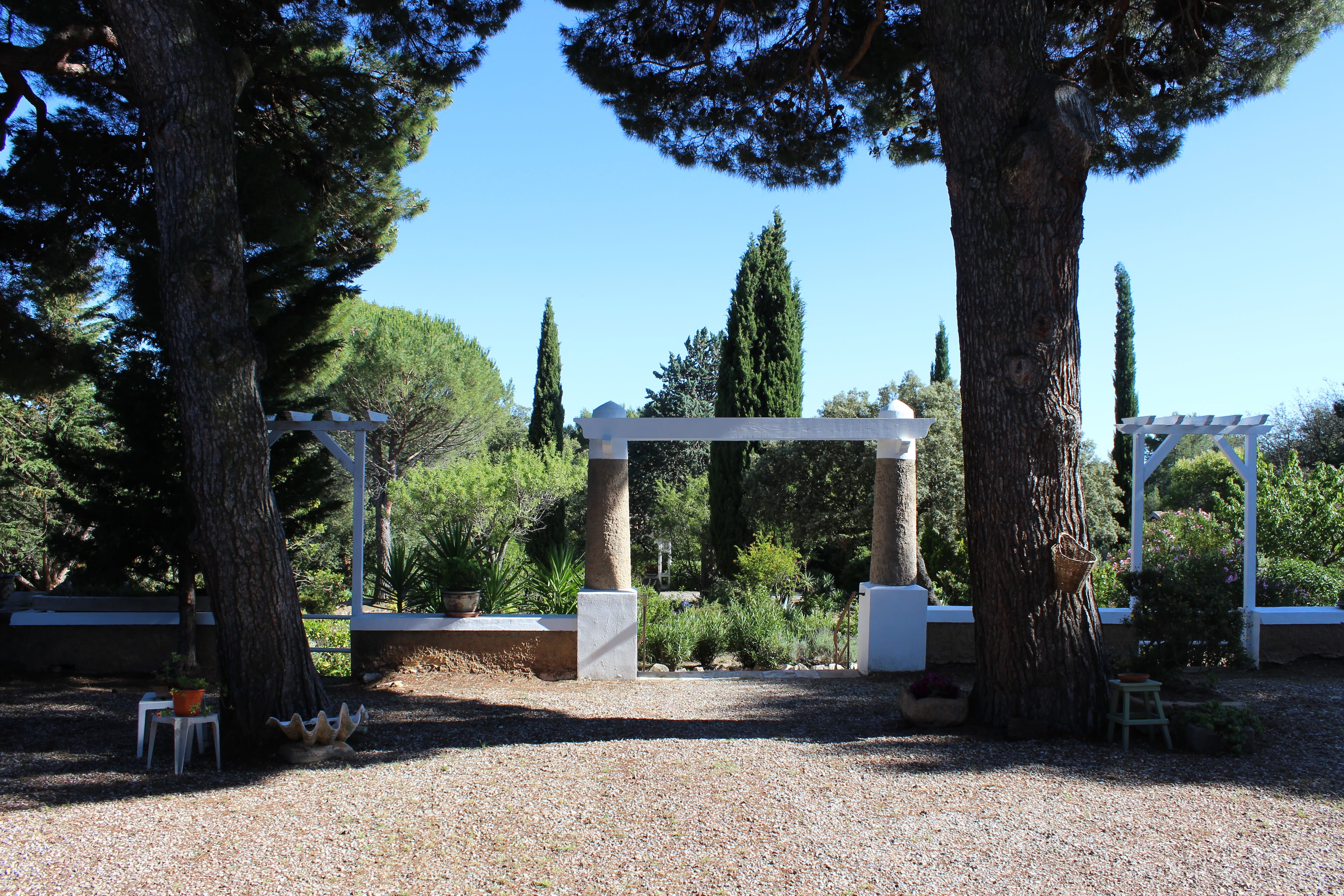 Photo jardin le parc