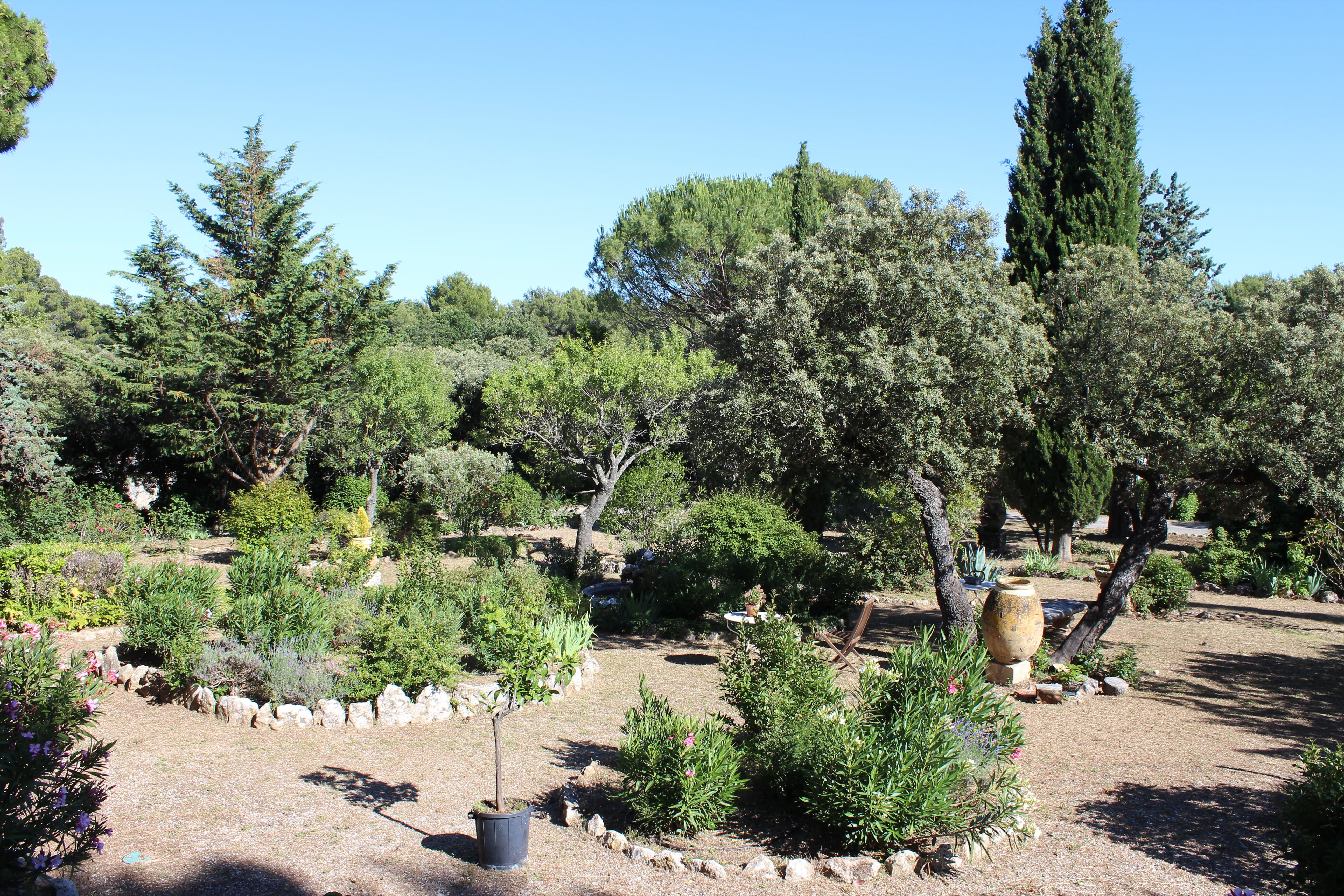 Photo jardin le parc
