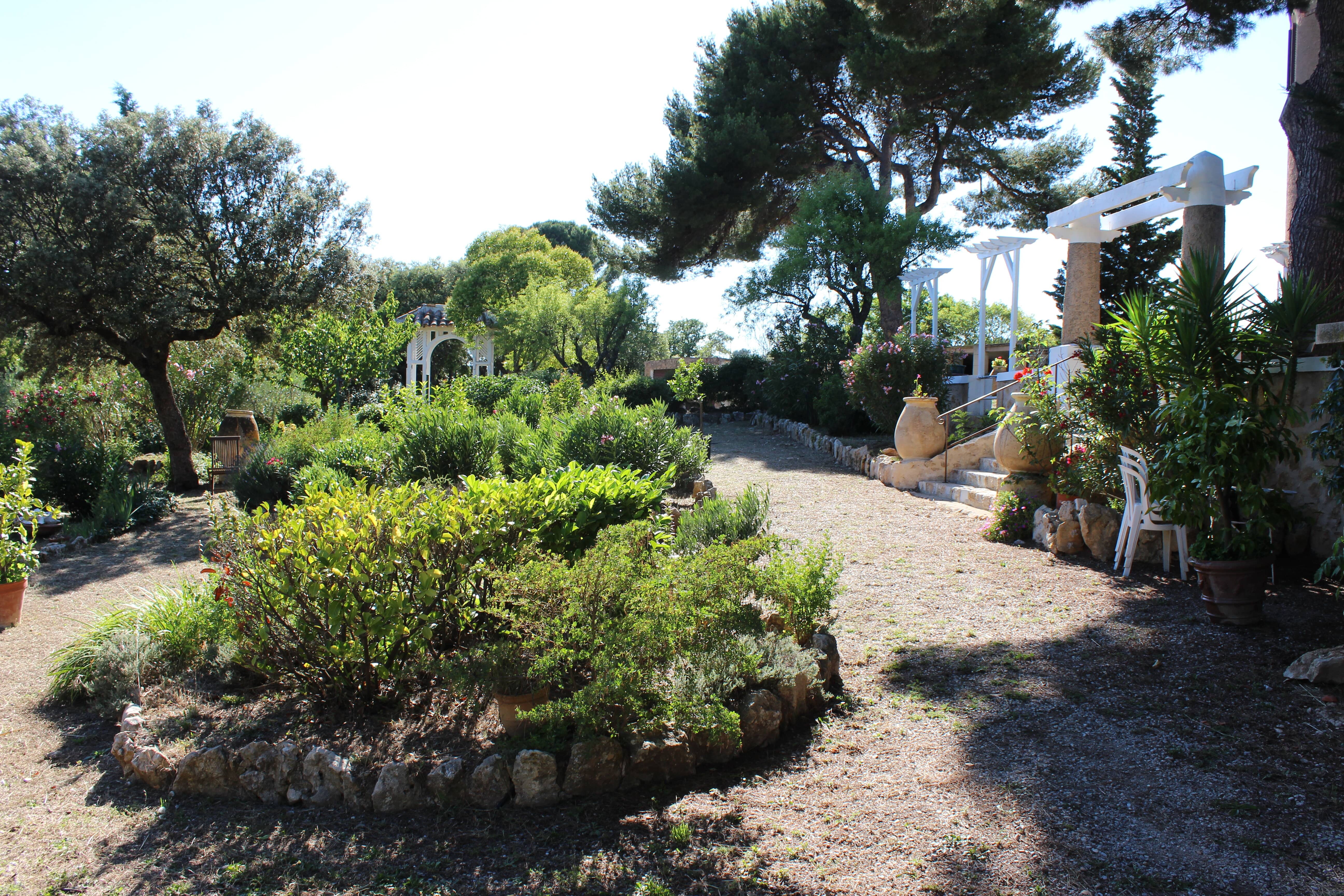 Photo jardin le parc